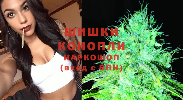 прущие грибы Инта