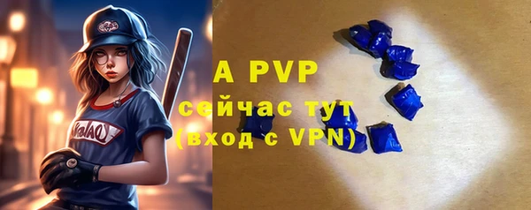 прущие грибы Инсар