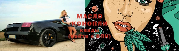 прущие грибы Инта