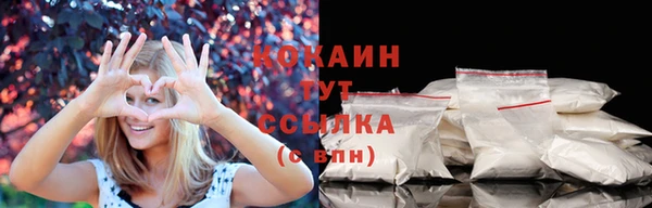 прущие грибы Инта