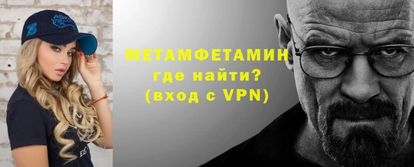 прущие грибы Инсар