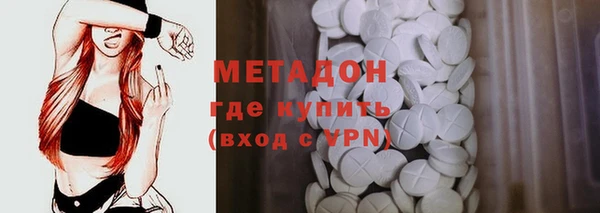 прущие грибы Инсар