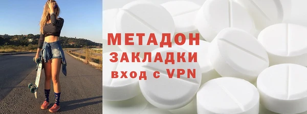прущие грибы Инта