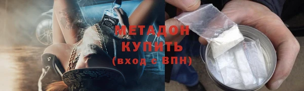 прущие грибы Инта