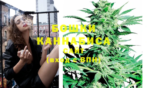прущие грибы Инта