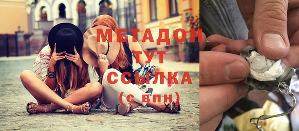 прущие грибы Инта