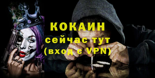 прущие грибы Инта