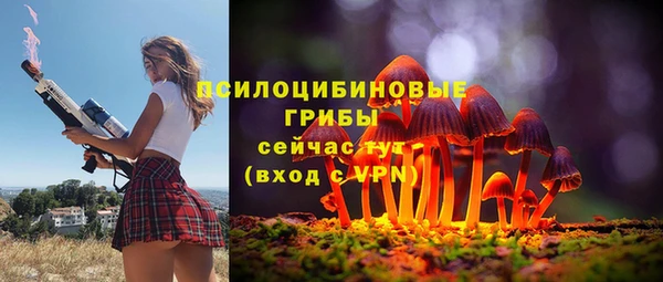 прущие грибы Инсар