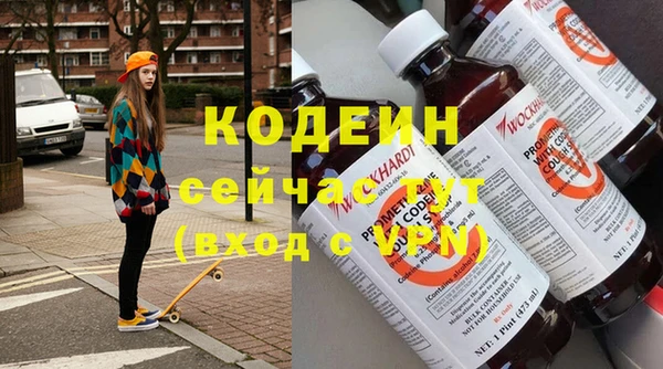 прущие грибы Инсар